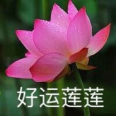 萌果敢死队中文版下载